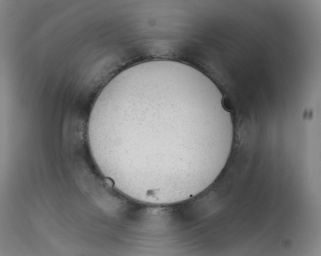X0000112920117200910051117