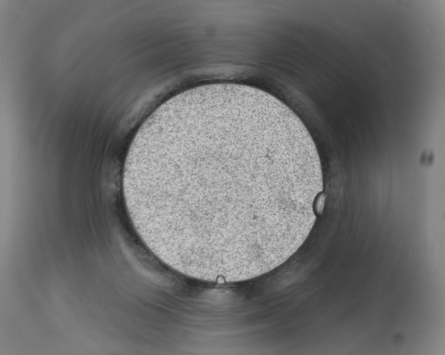 X0000112920119200910051117