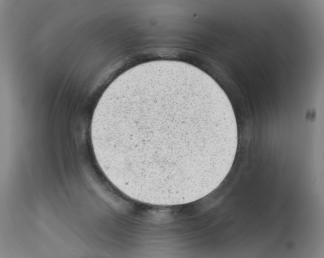 X0000112920120200910051117