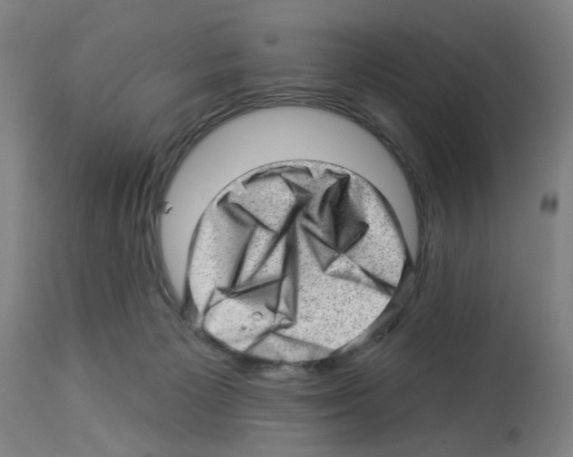 X0000112920125200910051117