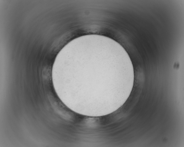 X0000112920126200910051117