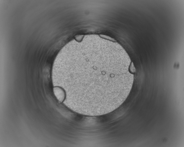 X0000112920127200910051117