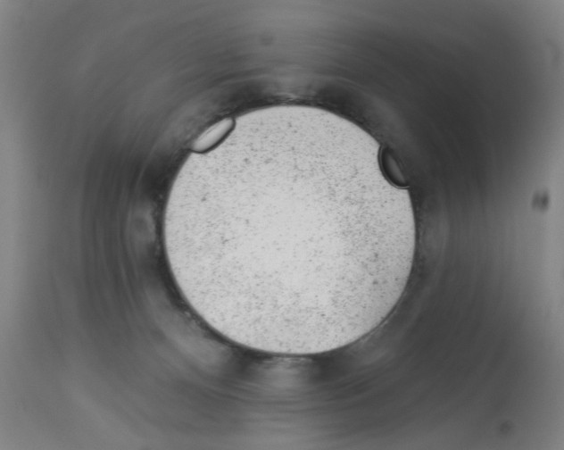 X0000112920128200910051117