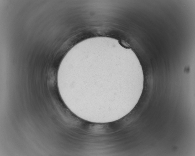 X0000112920129200910051117