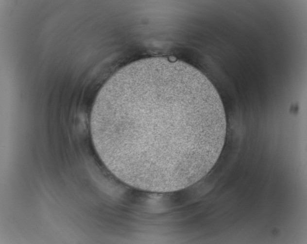 X0000112920130200910051117