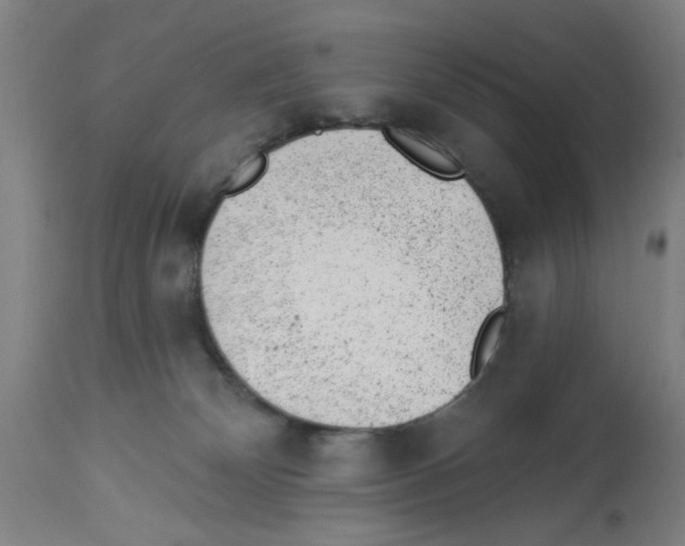 X0000112920132200910051117