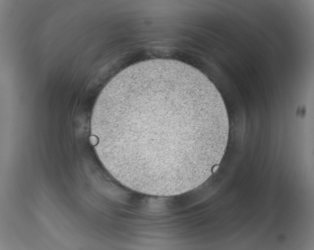 X0000112920134200910051117