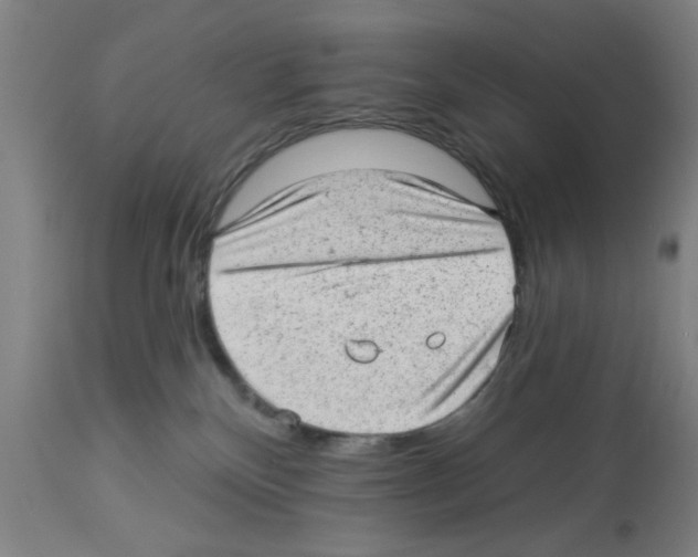 X0000112920136200910051117
