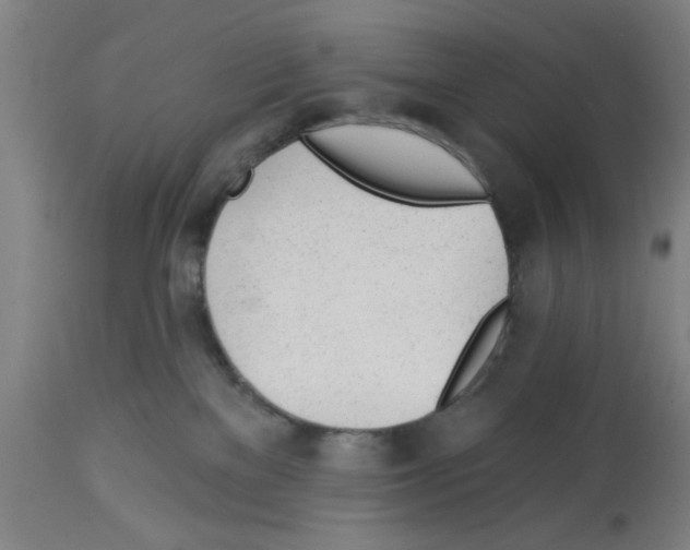 X0000112920137200910051117