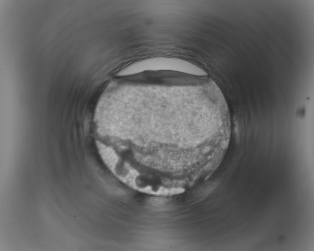 X0000112920139200910051117