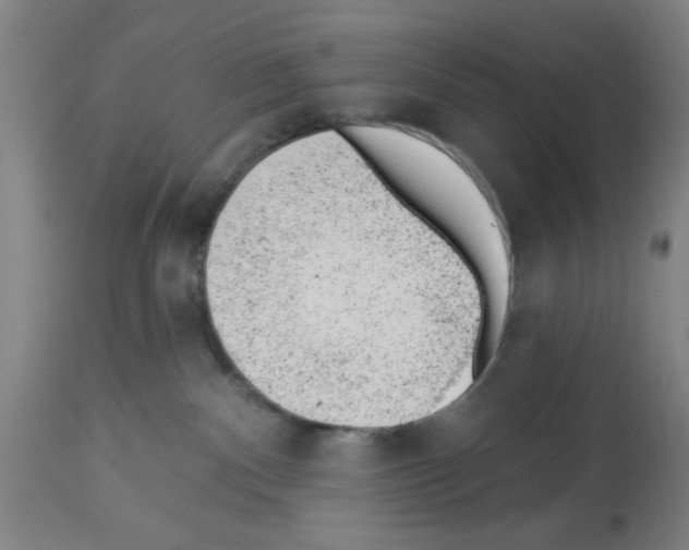 X0000112920140200910051117