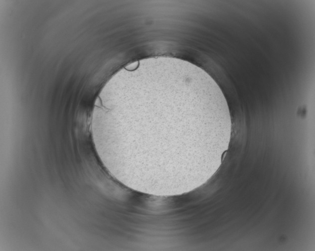 X0000112920142200910051117