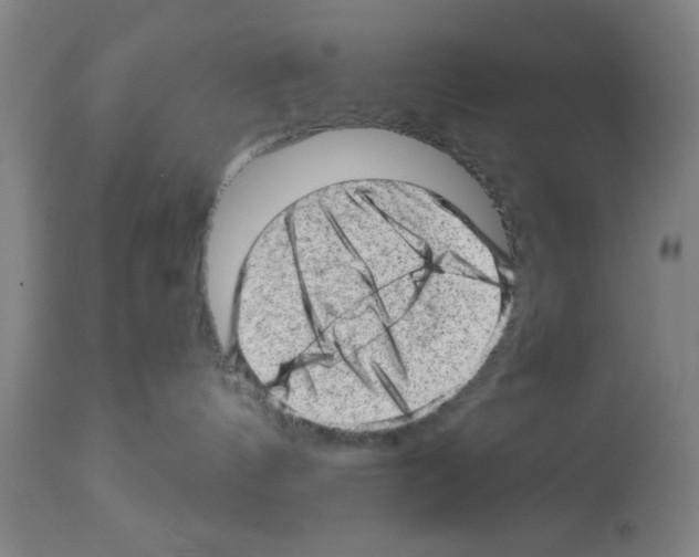 X0000112920144200910051117