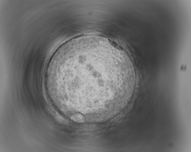 X0000112920145200910051116