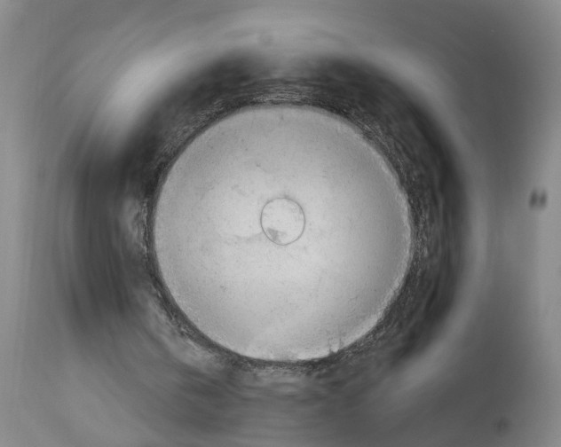 X0000112920146200910051116