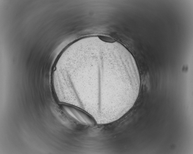 X0000112920148200910051116