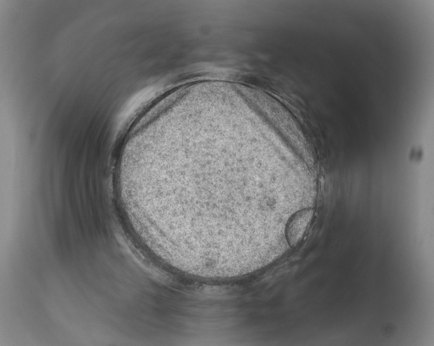 X0000112920149200910051116