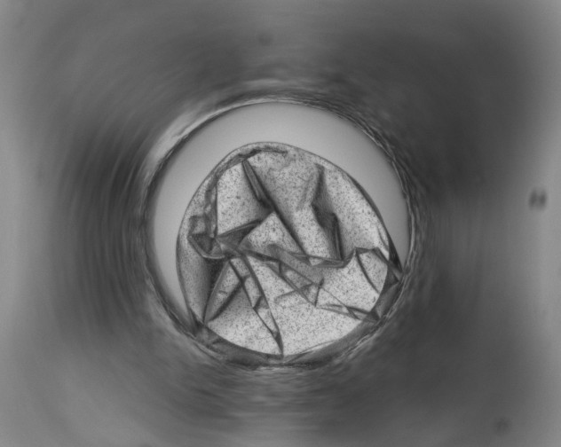 X0000112920150200910051116