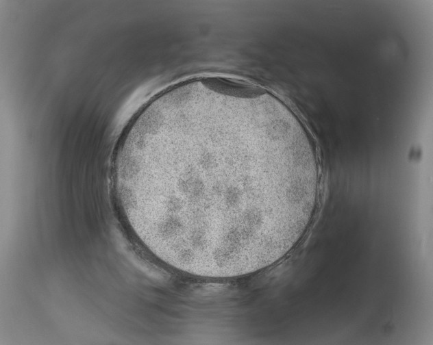 X0000112920151200910051116