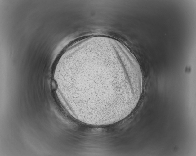 X0000112920152200910051116