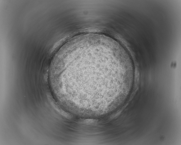 X0000112920153200910051116