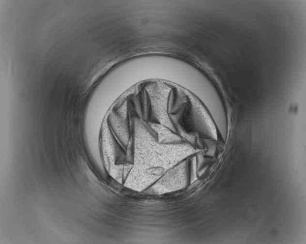 X0000112920154200910051116
