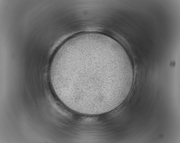 X0000112920155200910051116
