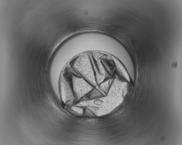 X0000112920156200910051116