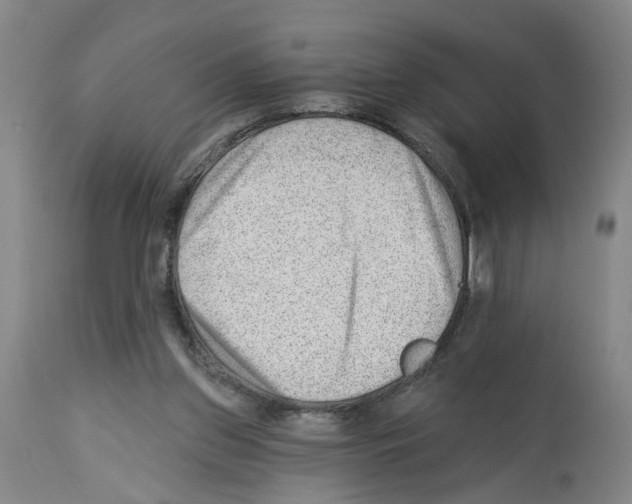 X0000112920157200910051116