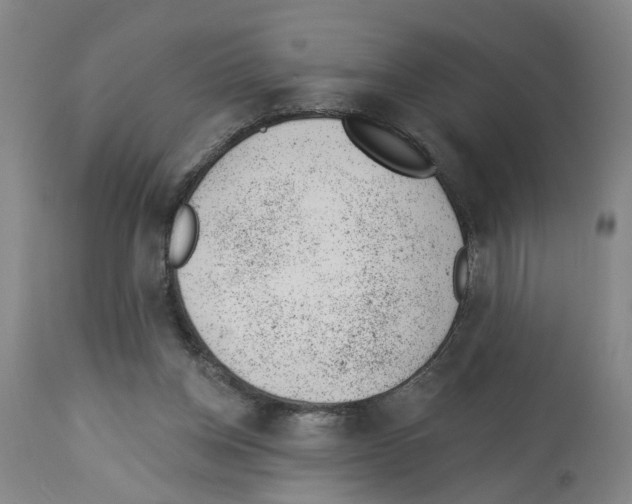 X0000112920158200910051116