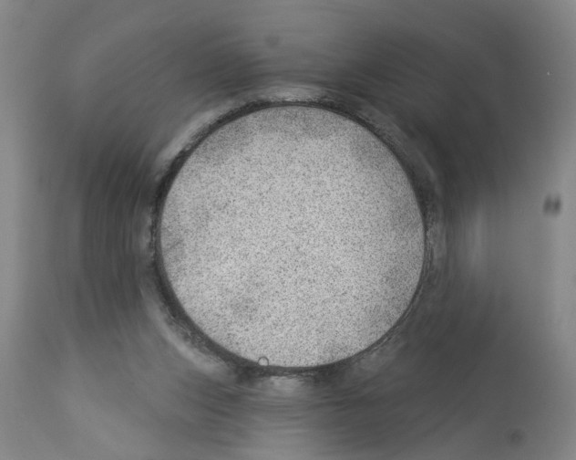 X0000112920159200910051116