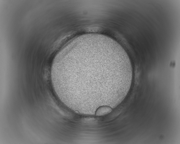 X0000112920161200910051116