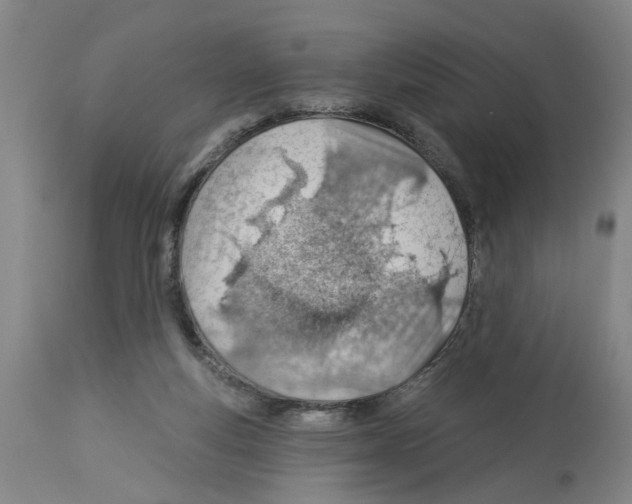 X0000112920163200910051116