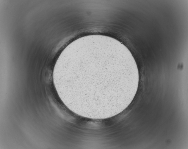 X0000112920164200910051116
