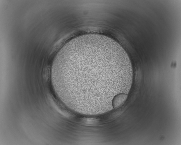 X0000112920165200910051116