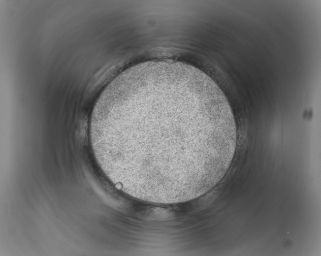 X0000112920166200910051116