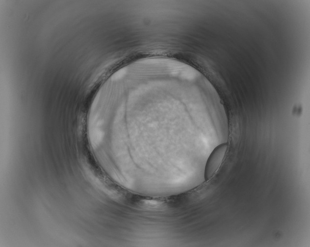 X0000112920167200910051116