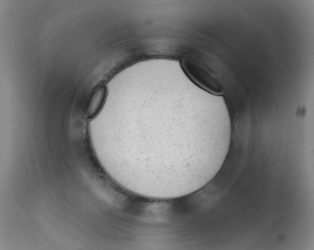 X0000112920168200910051116