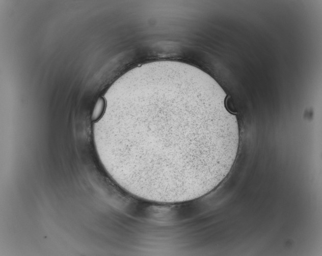 X0000112920170200910051116