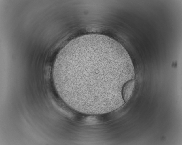 X0000112920171200910051116