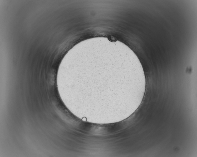 X0000112920174200910051116