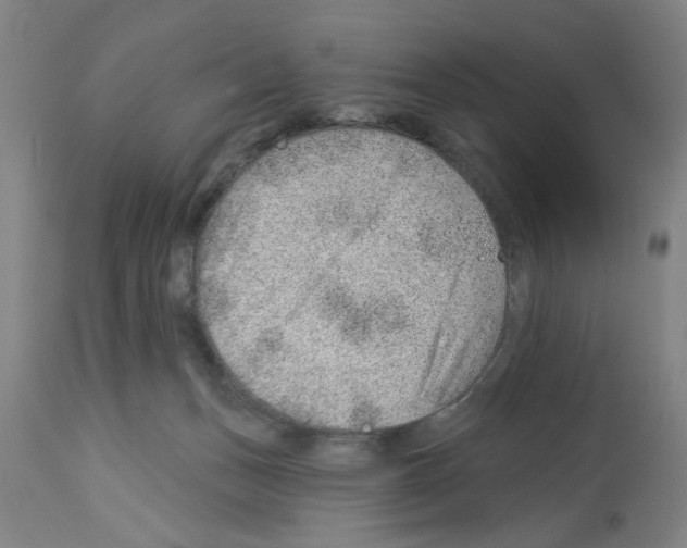 X0000112920175200910051117