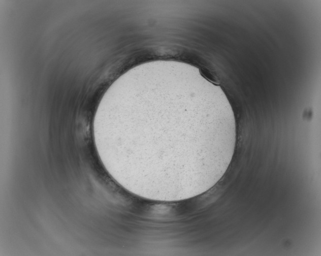 X0000112920176200910051117