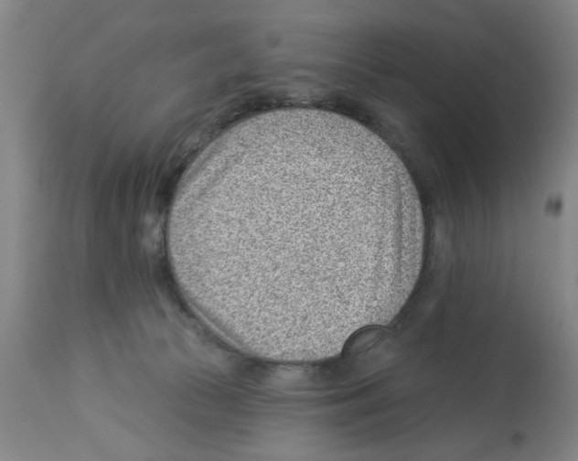 X0000112920177200910051117