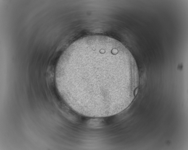 X0000112920179200910051117