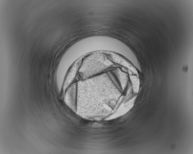 X0000112920180200910051117