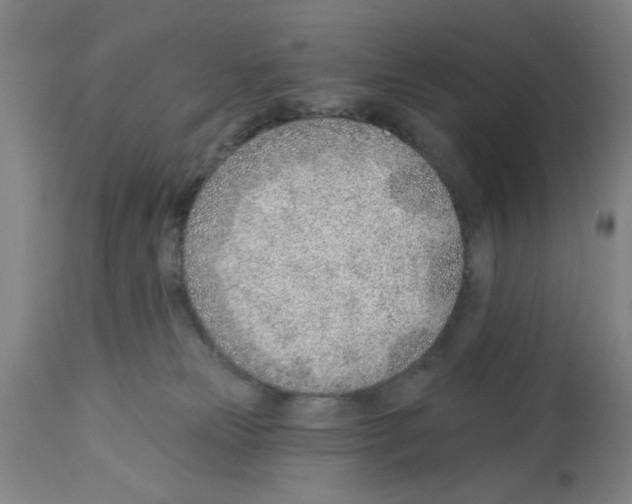 X0000112920181200910051117