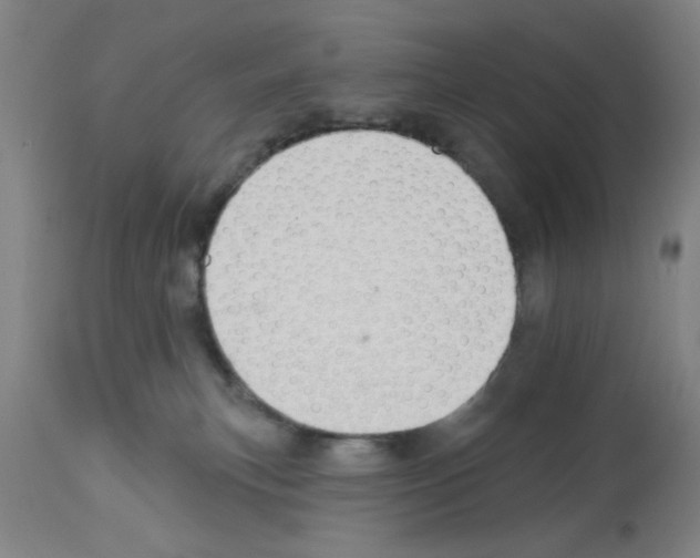 X0000112920183200910051117
