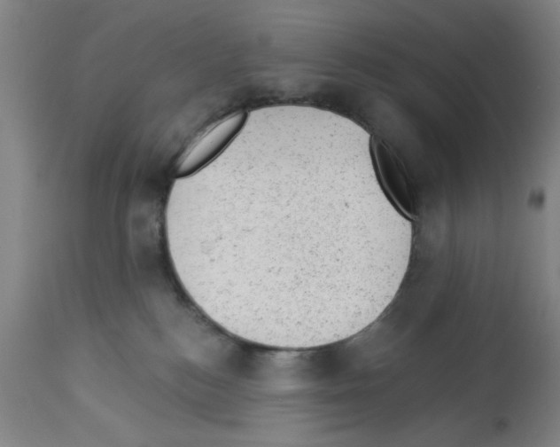 X0000112920184200910051117