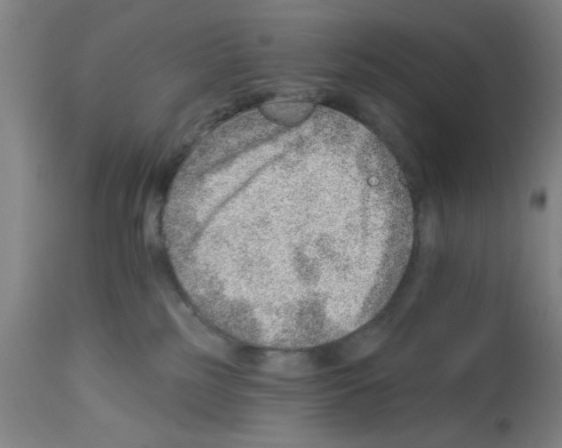 X0000112920185200910051117